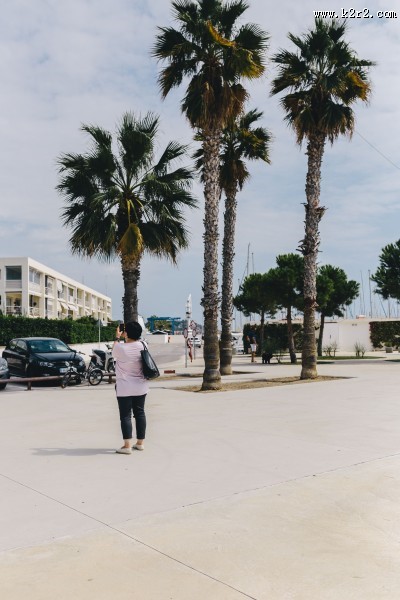 泊满船只的港口图片