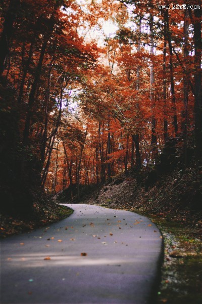 弯曲的公路图片