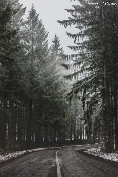 弯曲的公路图片