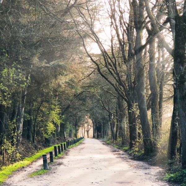 向远处延伸的公路图片