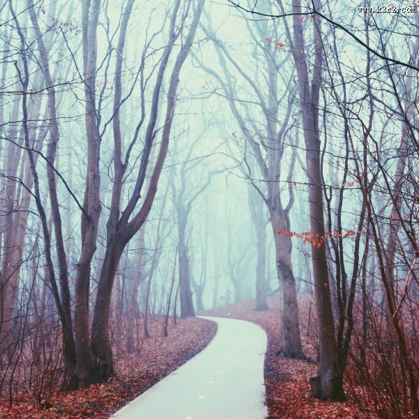 向远处延伸的公路图片