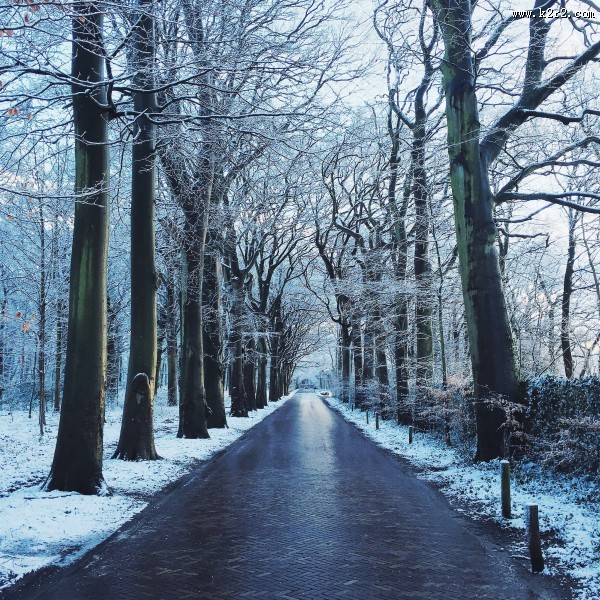 向远处延伸的公路图片