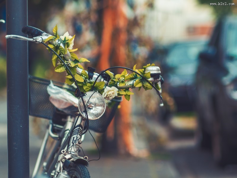 怀旧风格的自行车图片