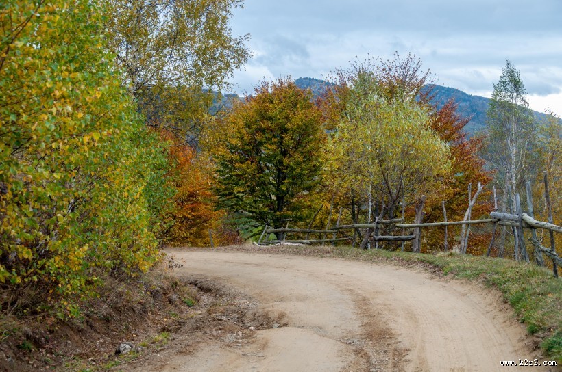 乡间泥泞的土路图片