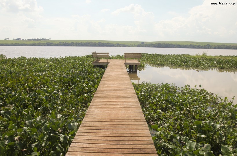 深入水中的孤单栈桥图片