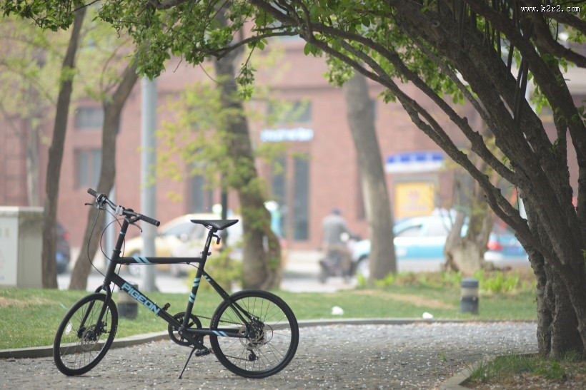 寂寞的单车图片