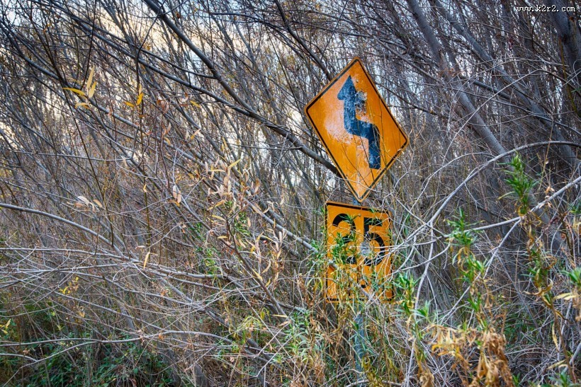 道路标志图片大全