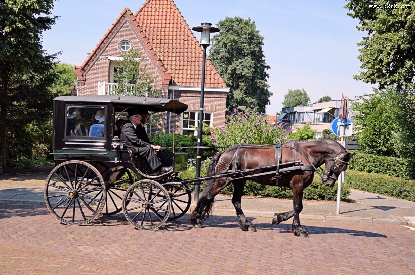 荷兰传统马车图片