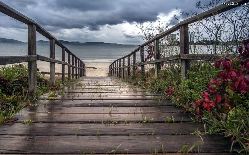 丛林中的木桥图片