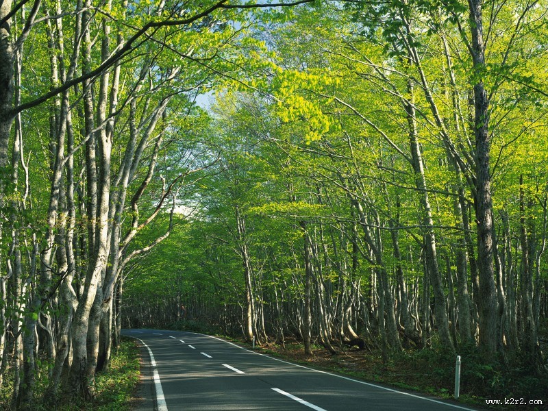 道路、公路图片大全