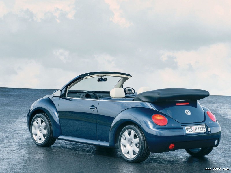 甲壳虫图片大全