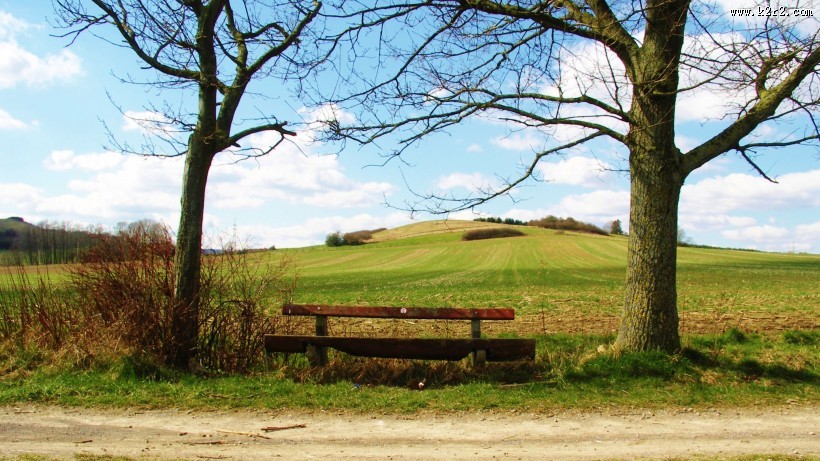 秋天公园里的长椅图片
