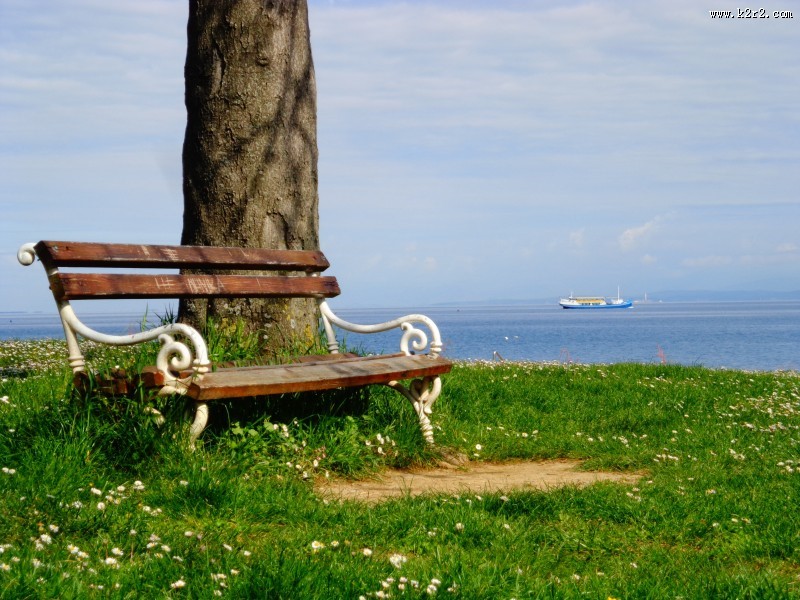 露天的长椅图片大全