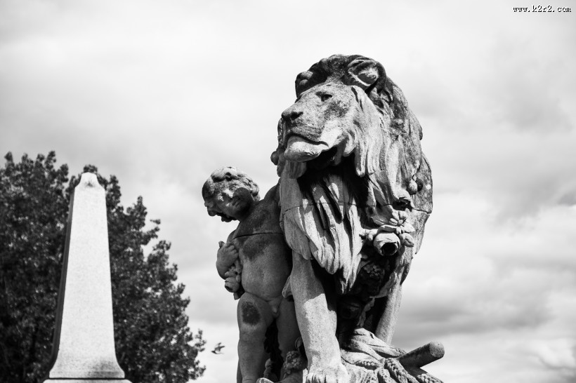 威武的石狮子图片