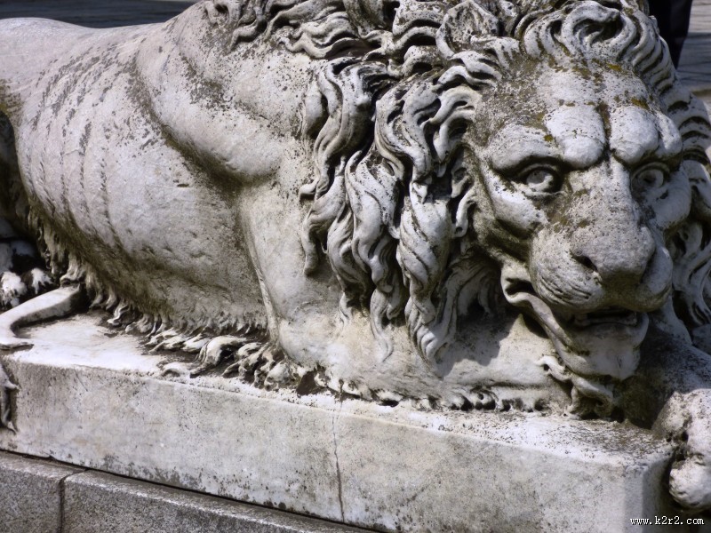 威武的石狮子图片