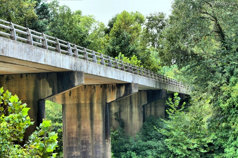 坚固的桥梁图片