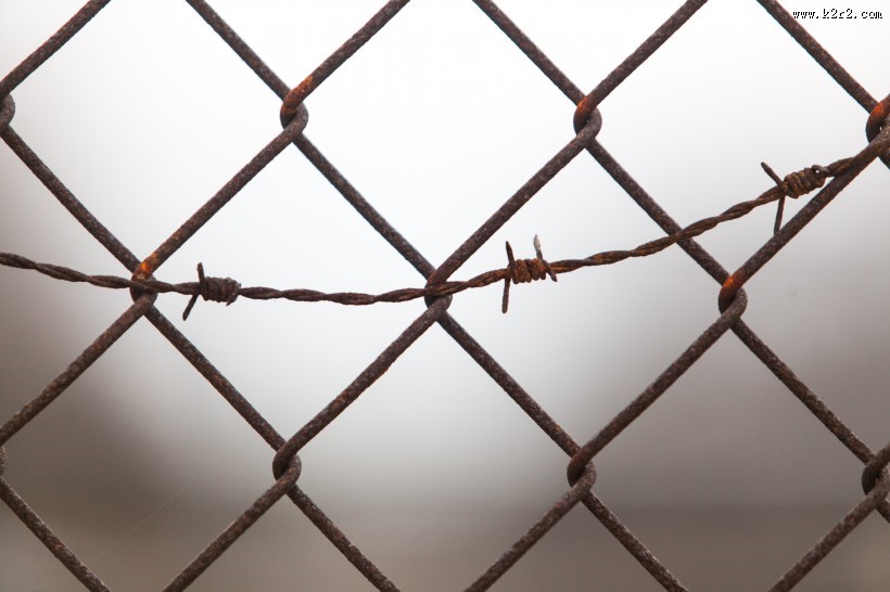结实的铁丝网图片大全