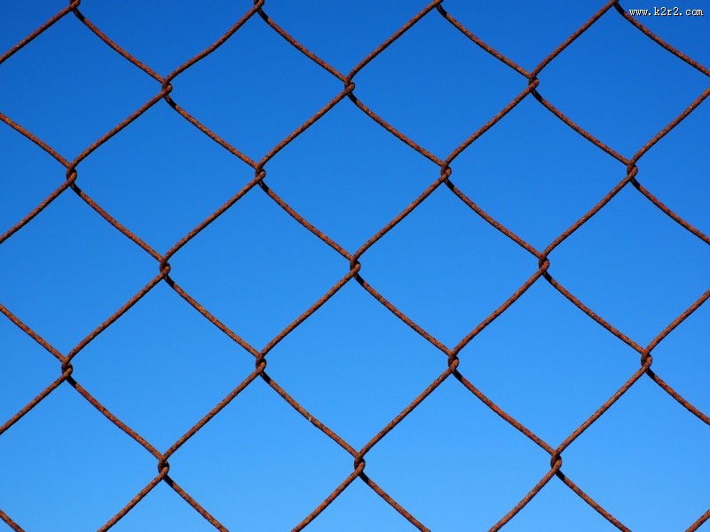 结实的铁丝网图片大全