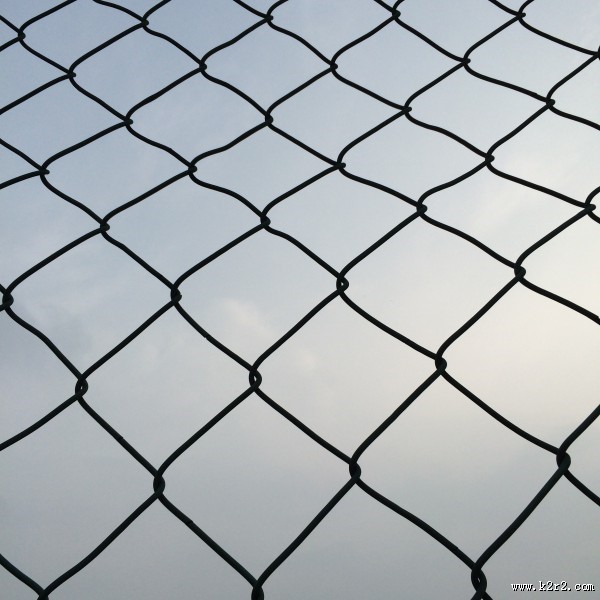 结实的铁丝网图片大全