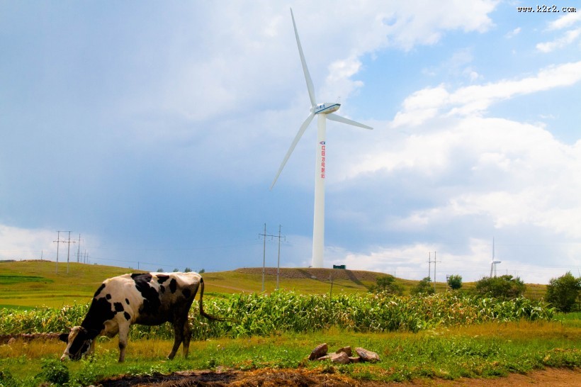 风力发电的风力发电机图片大全
