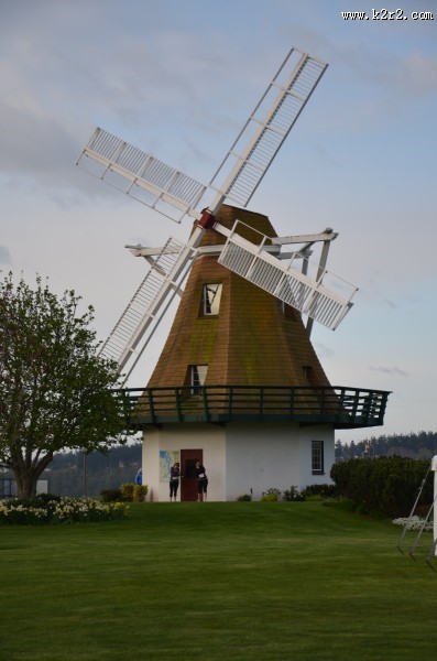 高大的荷兰风车图片大全