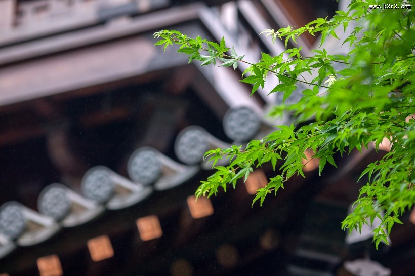 中国风庭院图片