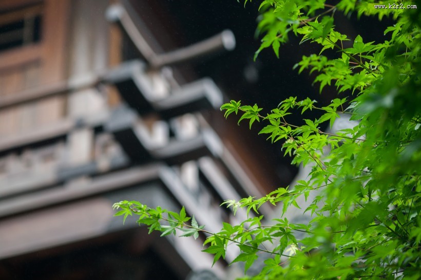 中国风庭院图片