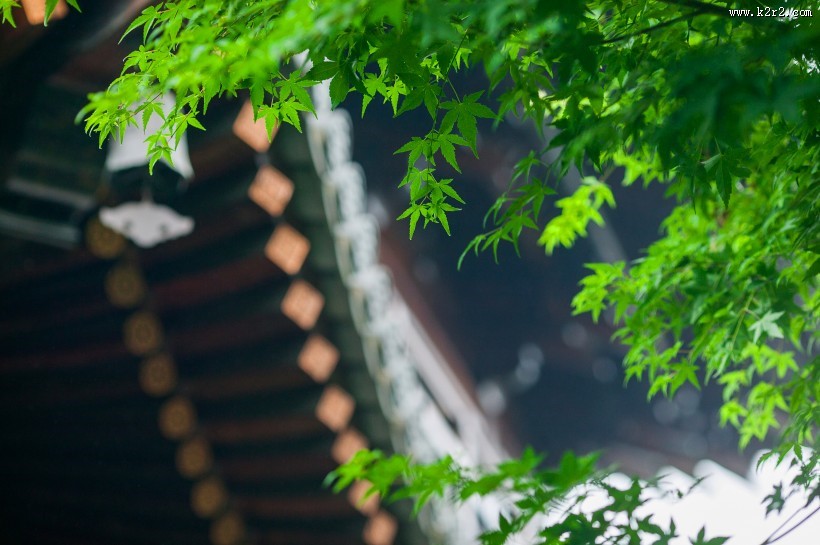 中国风庭院图片