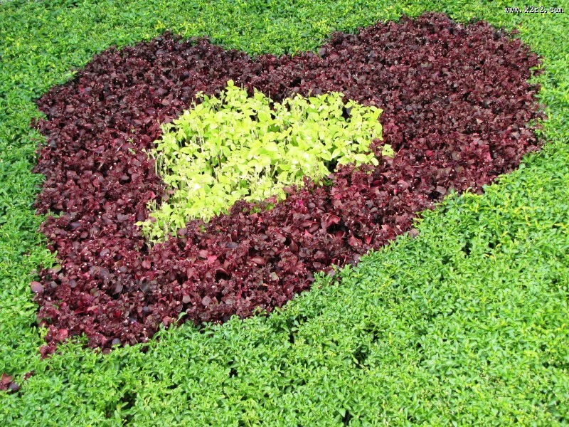 公园园艺设计图片