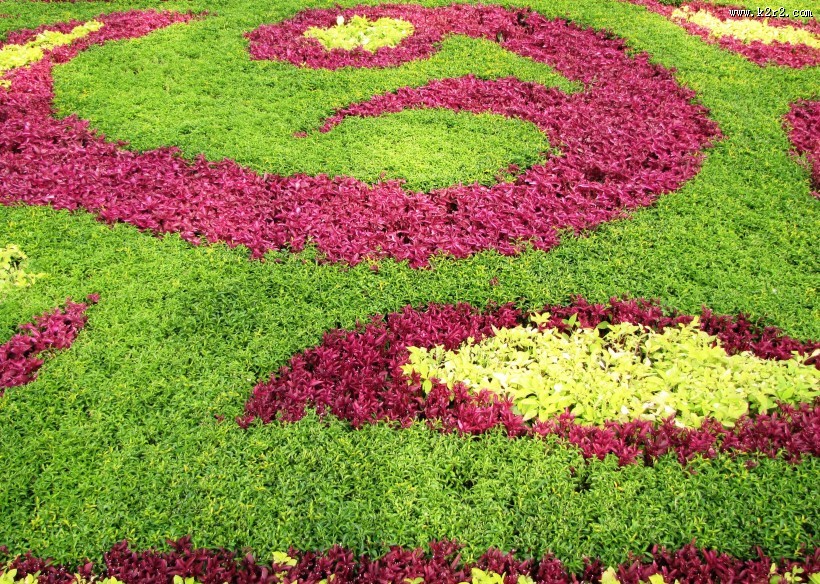 公园园艺设计图片