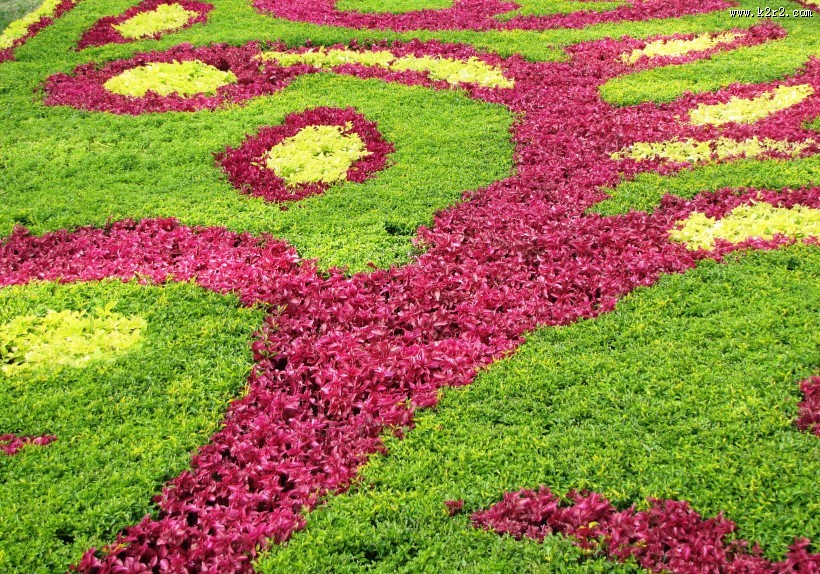 公园园艺设计图片