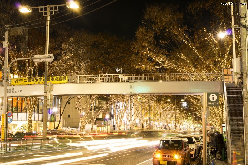 日本表参道的照明灯图片