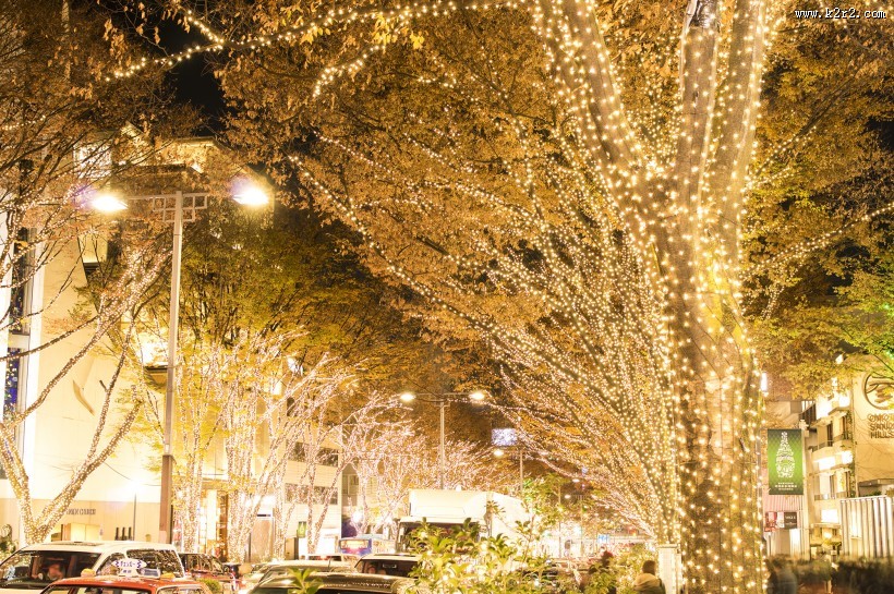 日本表参道的照明灯图片