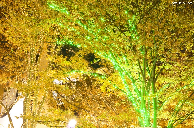 日本表参道的照明灯图片