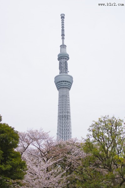 东京晴空塔高清图片