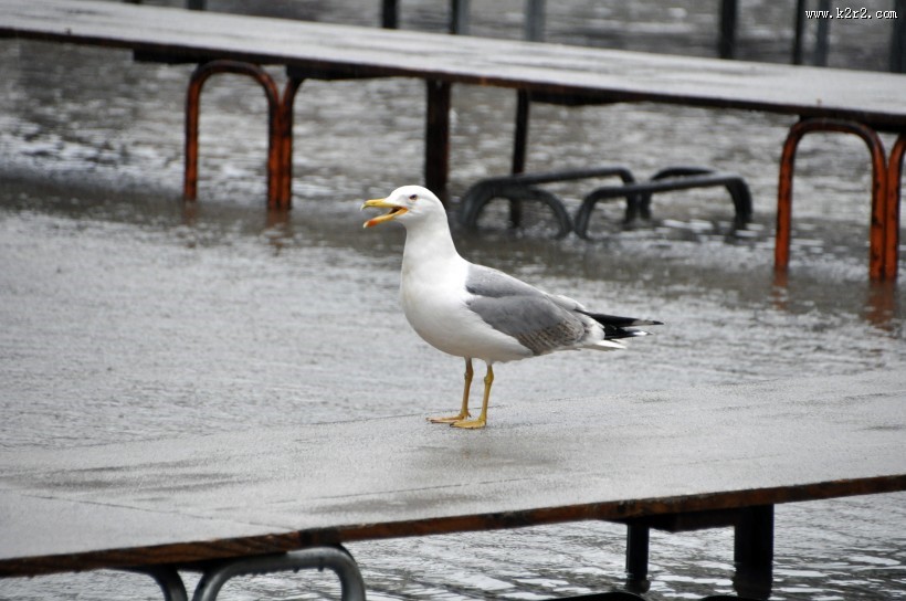 古代欧美建筑图片