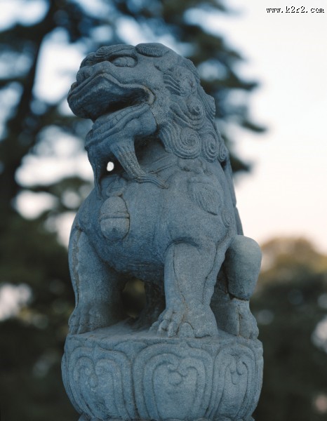 可爱的小石狮图片