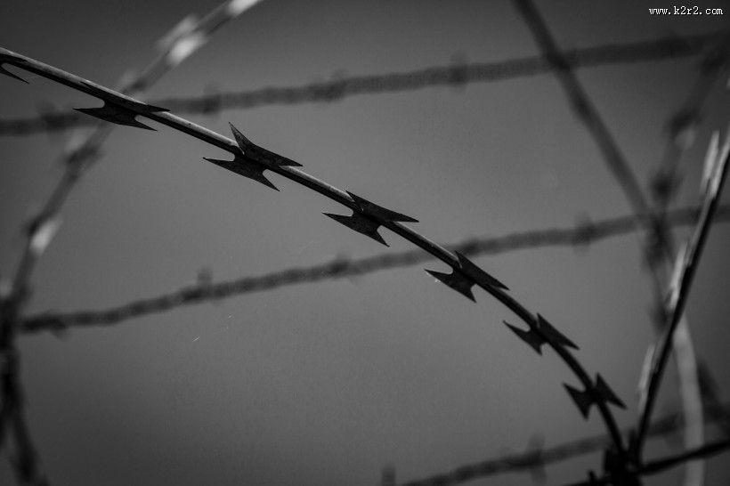 铁丝网图片大全