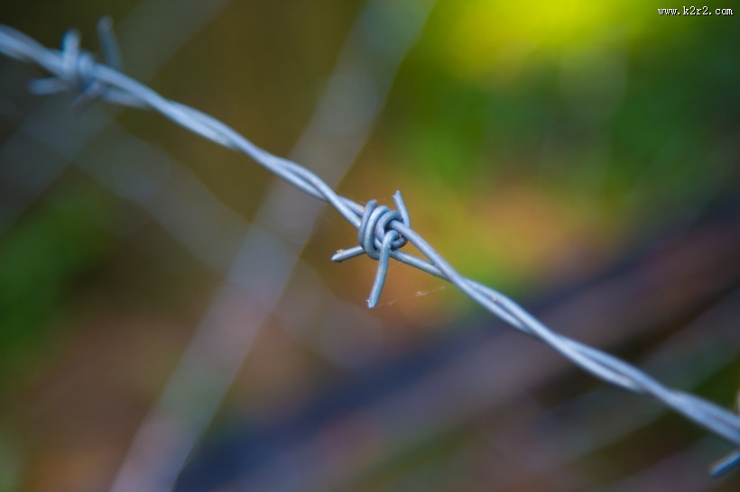 铁丝网图片大全