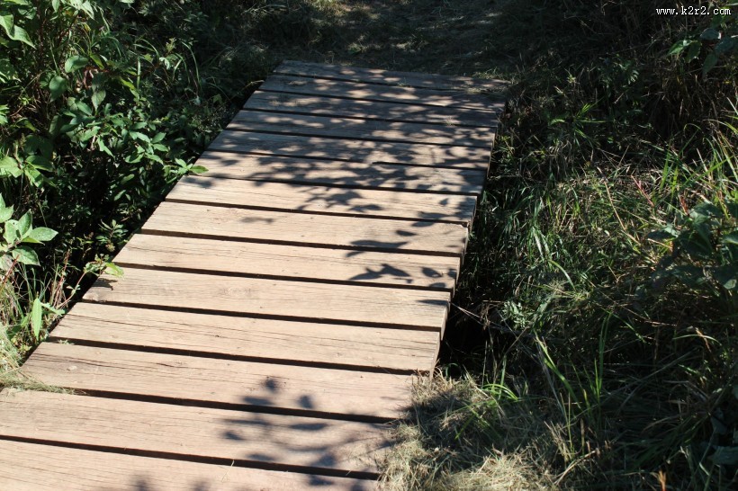 木质结构的桥图片