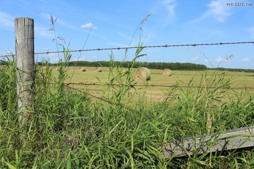 农场的铁丝网特写图片