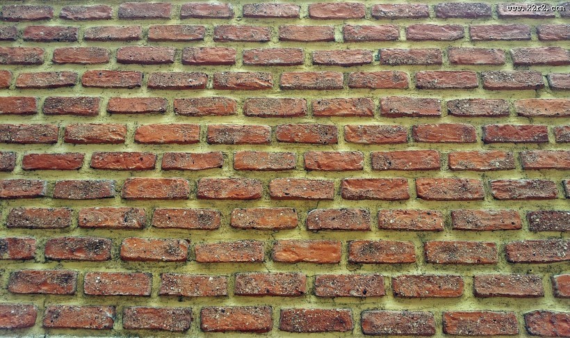 砖墙图片
