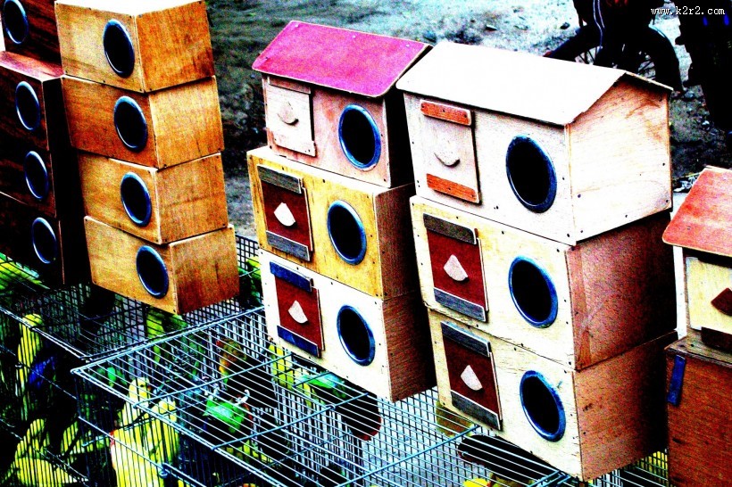 木制鸟屋图片