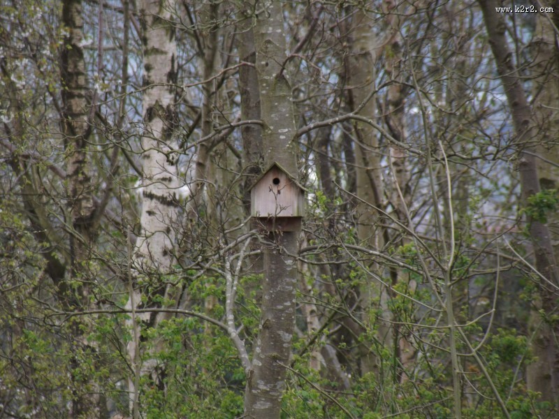 木制鸟屋图片