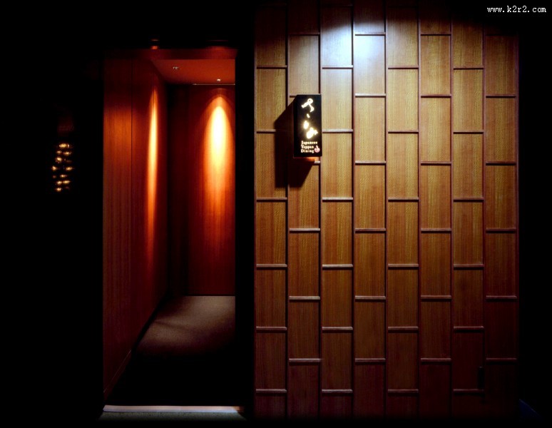 SATOMI-深田恭通作品图片