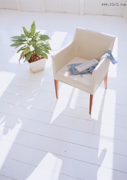 阳光照进的房间图片大全