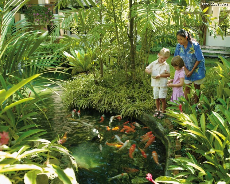 香格里拉丹绒亚路度假酒店周边风景图片