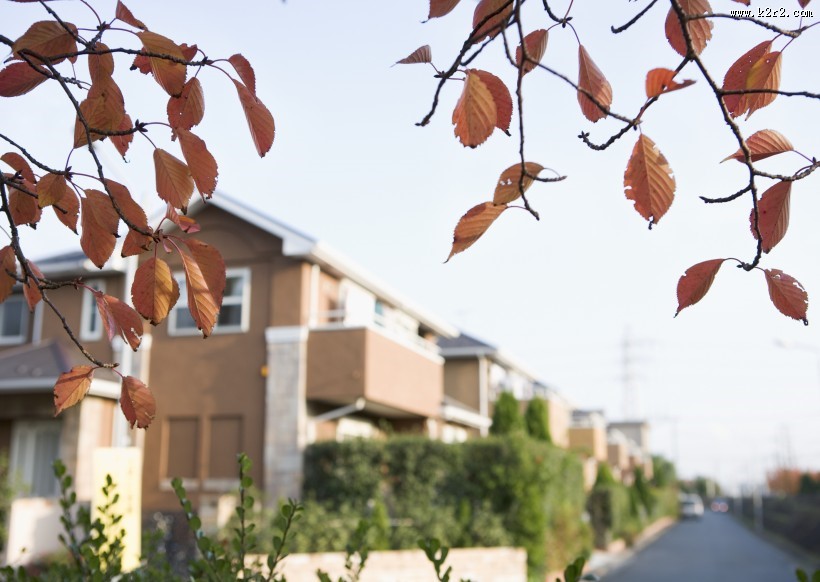 城镇房屋图片