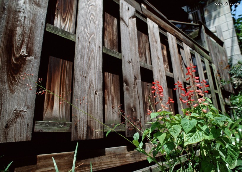 居民生活小巷特写图片