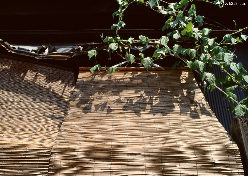 居民生活小巷特写图片